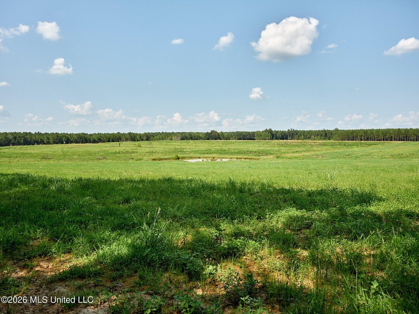 If you've been looking for a turnkey hunting, farming, or - photo 44