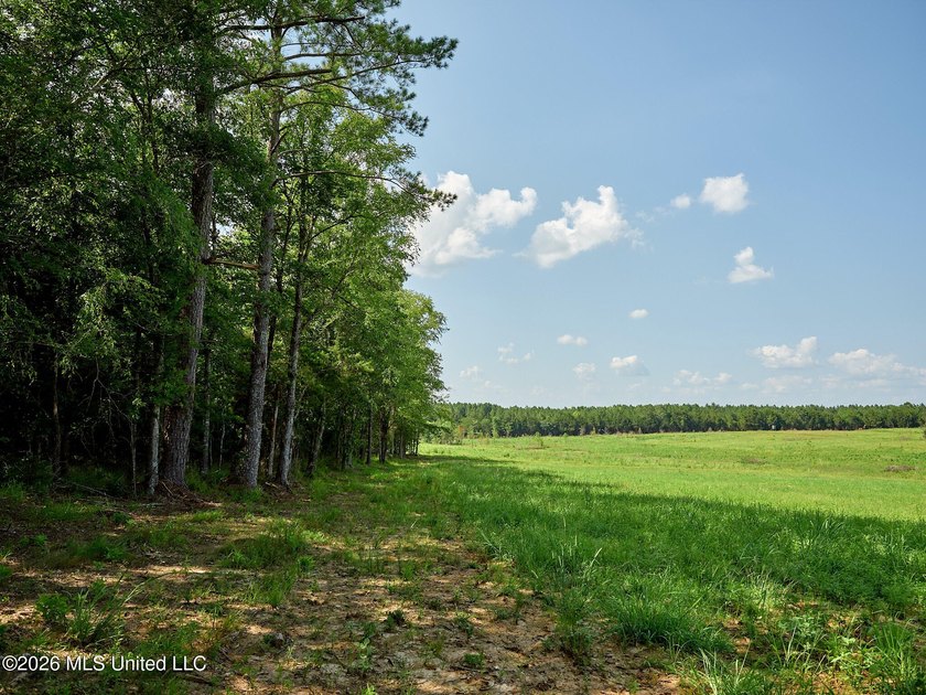 If you've been looking for a turnkey hunting, farming, or - photo 45
