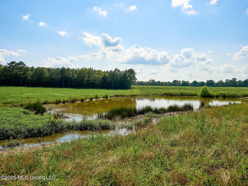 If you've been looking for a turnkey hunting, farming, or - photo 49