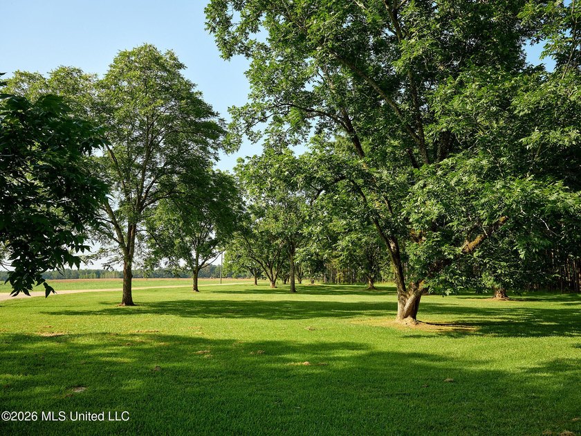 If you've been looking for a turnkey hunting, farming, or - photo 50