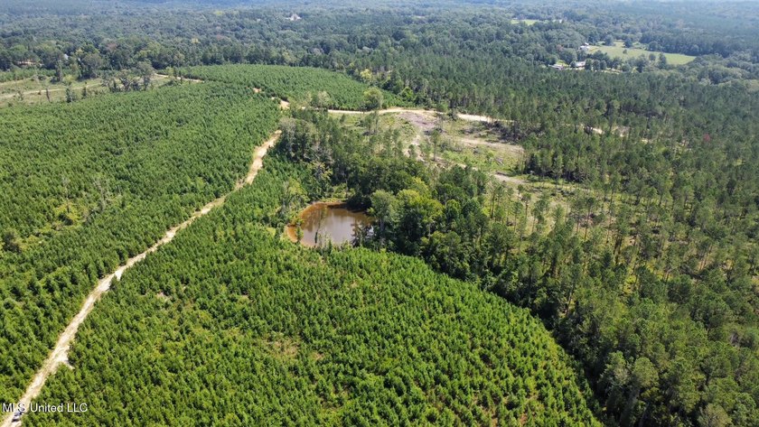 +/- 124 acres in the Shivers community in southwest Simpson - photo 21