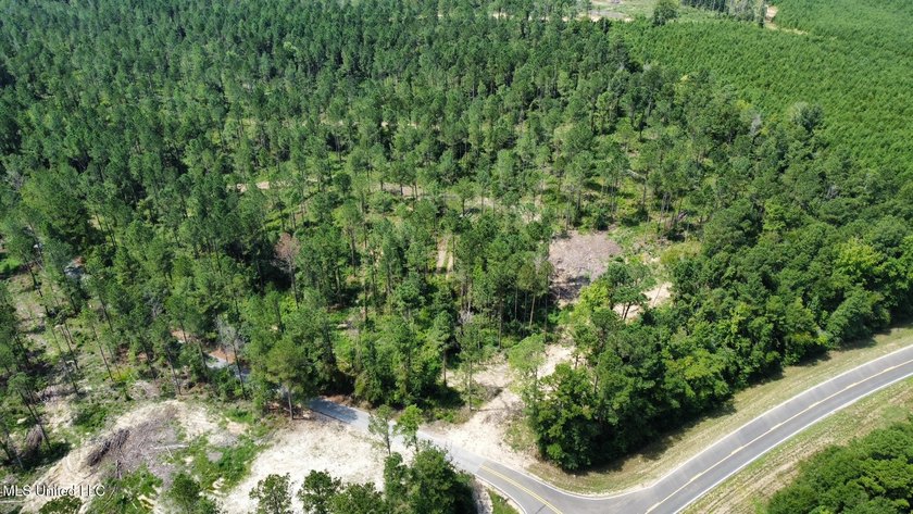 +/- 124 acres in the Shivers community in southwest Simpson - photo 23