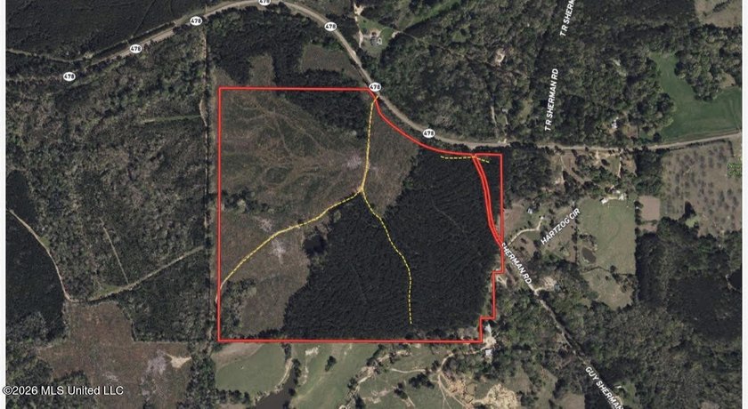 +/- 124 acres in the Shivers community in southwest Simpson - photo 24