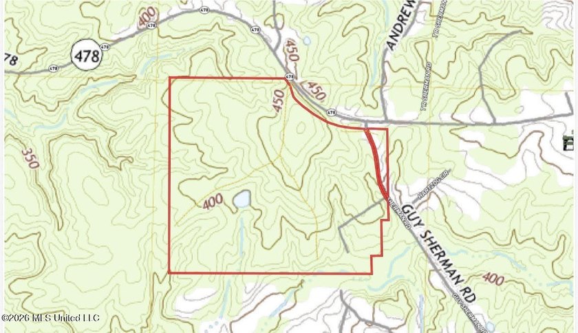 +/- 124 acres in the Shivers community in southwest Simpson - photo 25