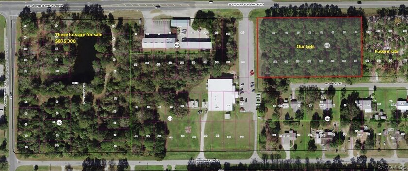 HOMOSASSA building parcel: 18 Buildable Lots, City Sewer and - photo 2