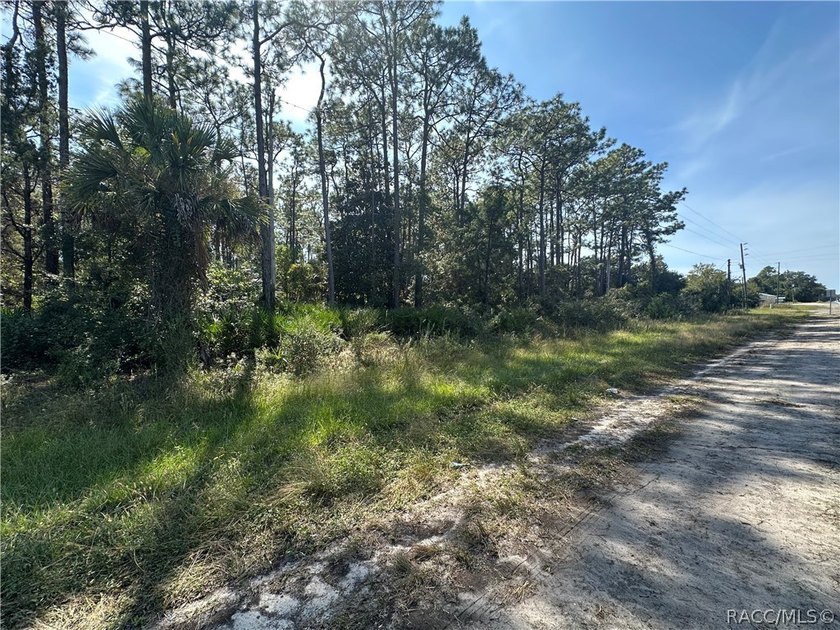 HOMOSASSA building parcel: 18 Buildable Lots, City Sewer and - photo 4