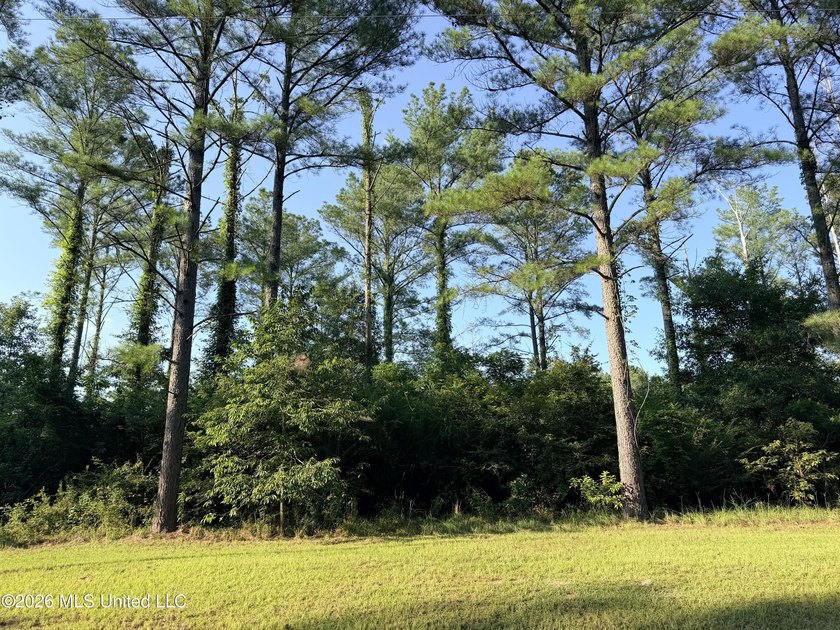 Home site in Puckett School District! Discover the perfect blend - photo 2