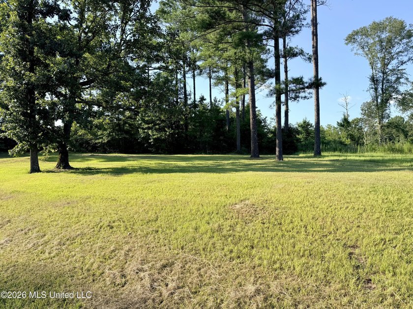 Home site in Puckett School District! Discover the perfect blend - photo 3