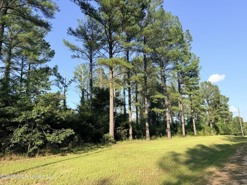 Home site in Puckett School District! Discover the perfect blend - photo 4