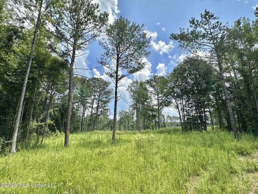 +/- 15 acre homesite or recreational property in Leake County - photo 5