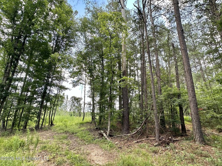 +/- 15 acre homesite or recreational property in Leake County - photo 6