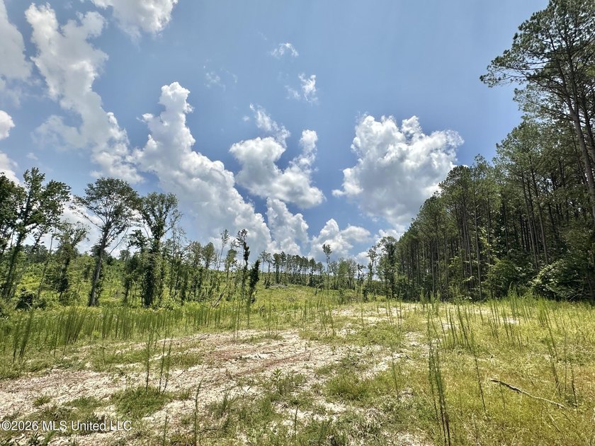 +/- 15 acre homesite or recreational property in Leake County - photo 7