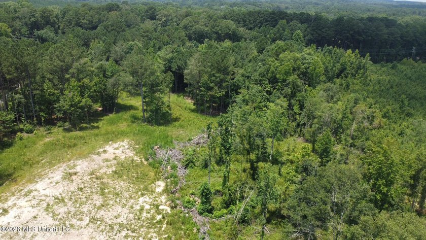 +/- 15 acre homesite or recreational property in Leake County - photo 9