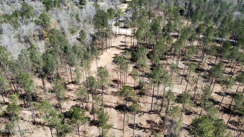 +/- 99 acres in the Shivers community in southwest Simpson - photo 14