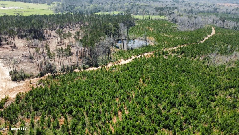 +/- 99 acres in the Shivers community in southwest Simpson - photo 16