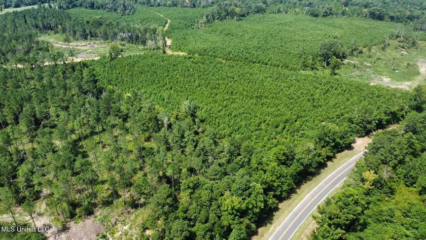 +/- 99 acres in the Shivers community in southwest Simpson - photo 31
