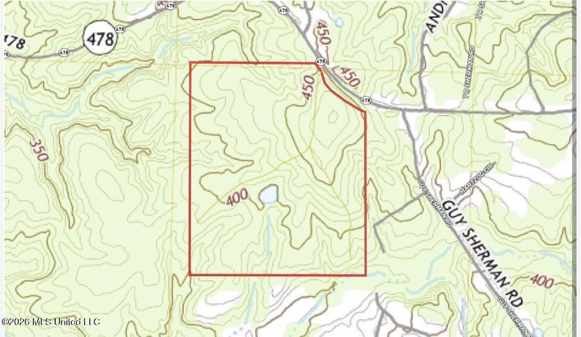 +/- 99 acres in the Shivers community in southwest Simpson - photo 34