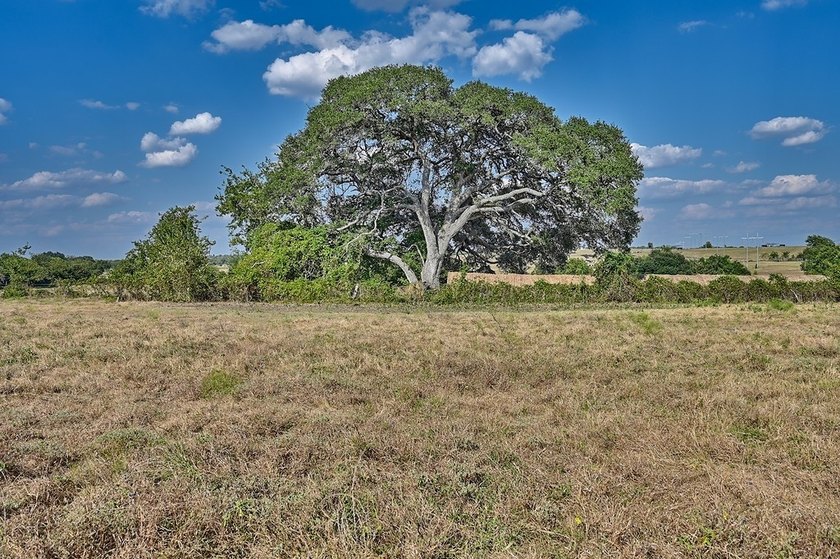 ***Farm &amp; Ranch - Ganske Road &amp; McNelly Lane, Burton, TX*** - photo 3