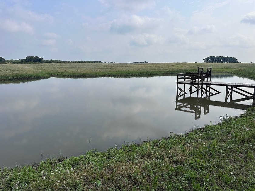 ***Farm &amp; Ranch - Ganske Road &amp; McNelly Lane, Burton, TX*** - photo 8