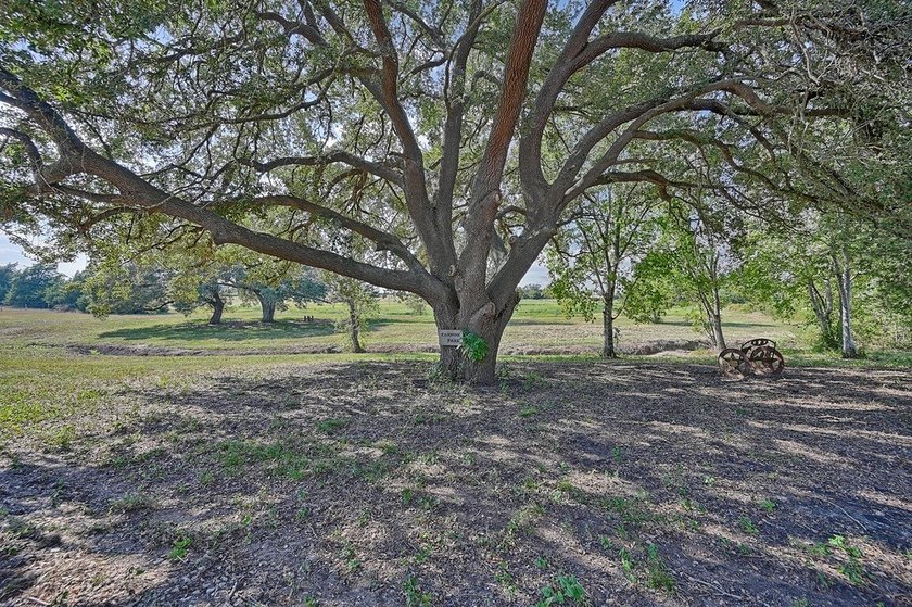 ***Farm &amp; Ranch - Ganske Road &amp; McNelly Lane, Burton, TX*** - photo 9