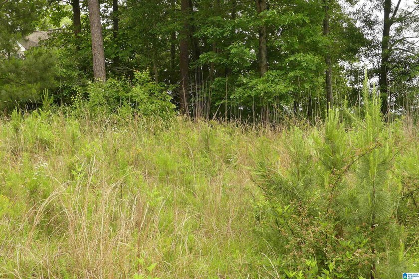 MOTIVATED SELLER!! Great price on this lot with 100 feet of - photo 4