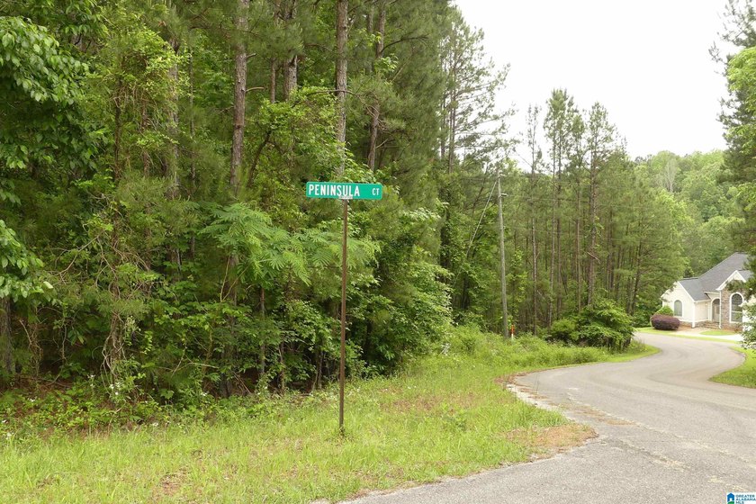 MOTIVATED SELLER!! Great price on this lot with 100 feet of - photo 6
