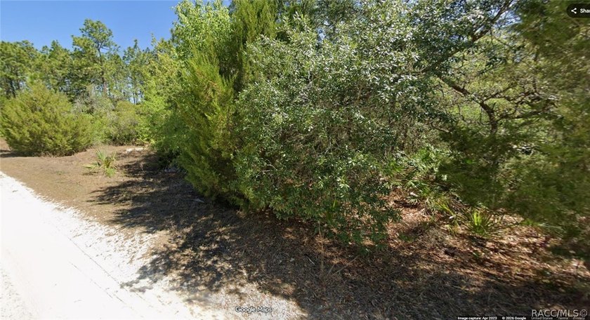 Looking for a nice lot for your mobile home??? Look no further!! - photo 2