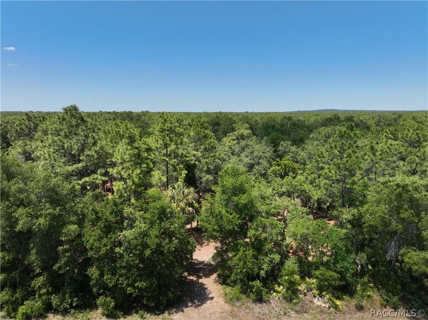 Professionally cleared and ready to build - this 0.61-acre - photo 3