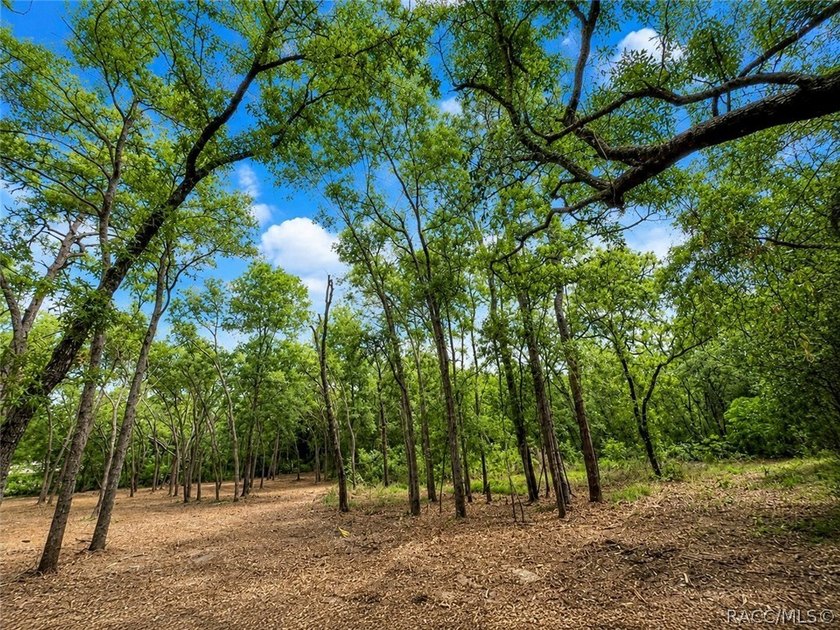Professionally cleared and ready to build - this 0.61-acre - photo 4