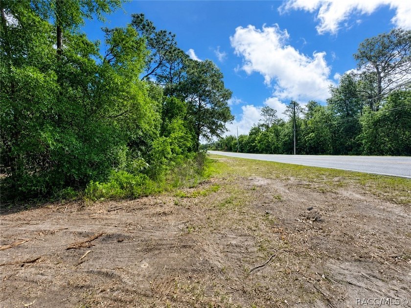 Professionally cleared and ready to build - this 0.61-acre - photo 9