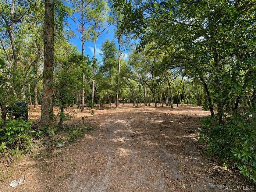 Professionally cleared and ready to build - this 0.61-acre - photo 10