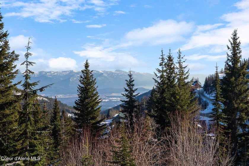 Experience true ski-in/ski-out living at Schweitzer Mountain - photo 35