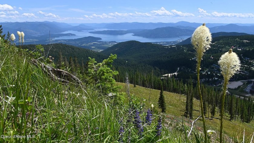 Experience true ski-in/ski-out living at Schweitzer Mountain - photo 47