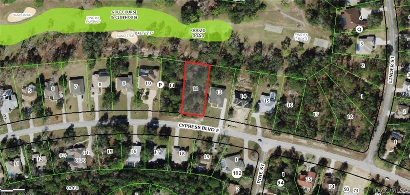 Build Your Dream Home in the Heart of Sugarmill Woods! Discover - photo 3