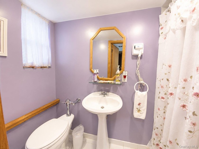 Beautiful Attached Home in Prime North Flushing - School - photo 21