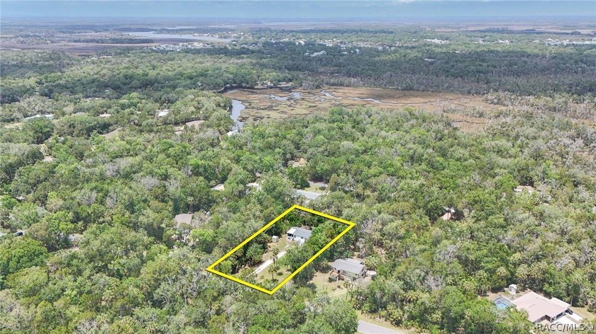 Welcome to the Heart of Old Homosassa - 11065 W Townsend Lane - photo 2