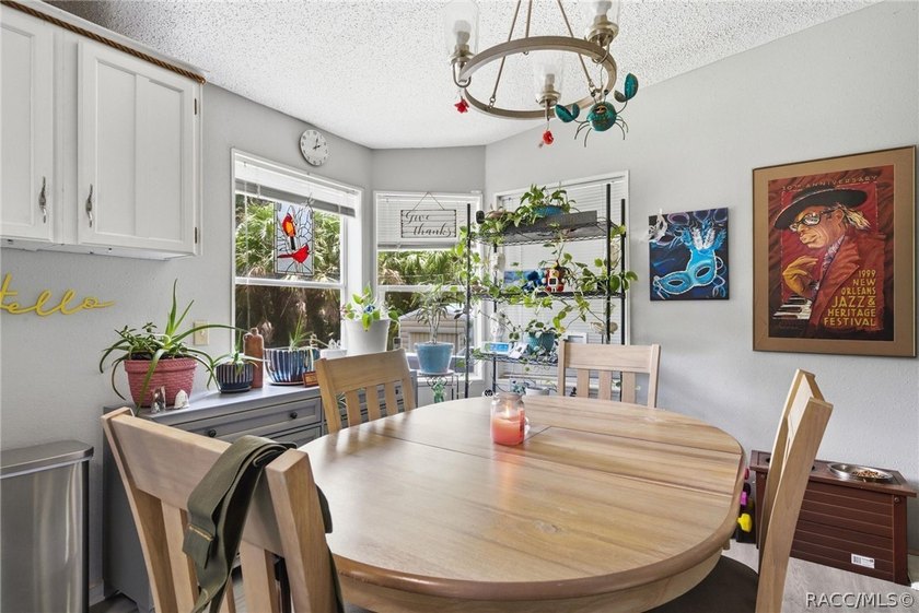 Welcome to the Heart of Old Homosassa - 11065 W Townsend Lane - photo 10