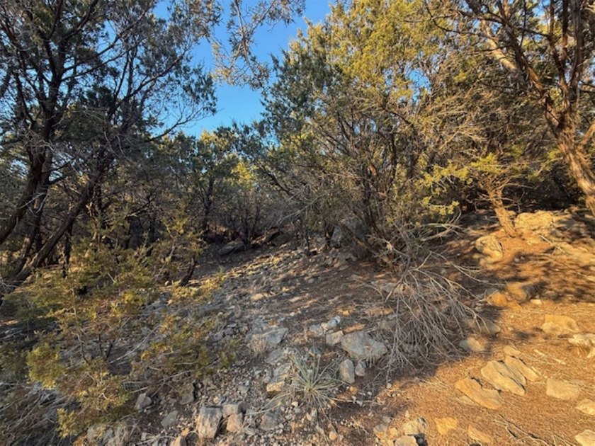 Build your dream home or weekend retreat on this peaceful 2-acre - photo 3