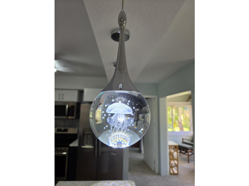 Move-In Ready * Fully Renovated * Stunning Sunset Views * - photo 9