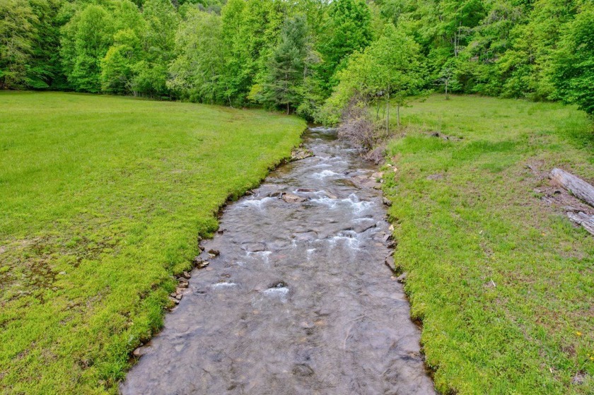 PRICE REDUCED-Breathtaking tract of land with over 39 acres - photo 12