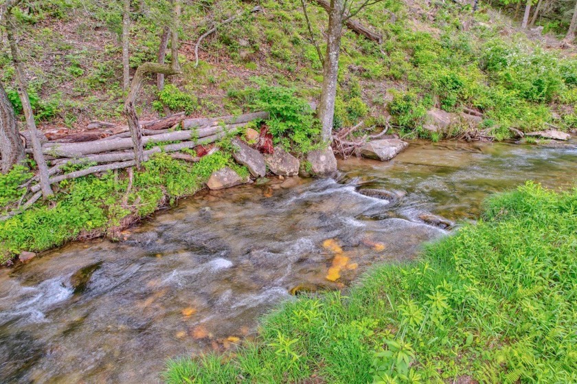 PRICE REDUCED-Breathtaking tract of land with over 39 acres - photo 13
