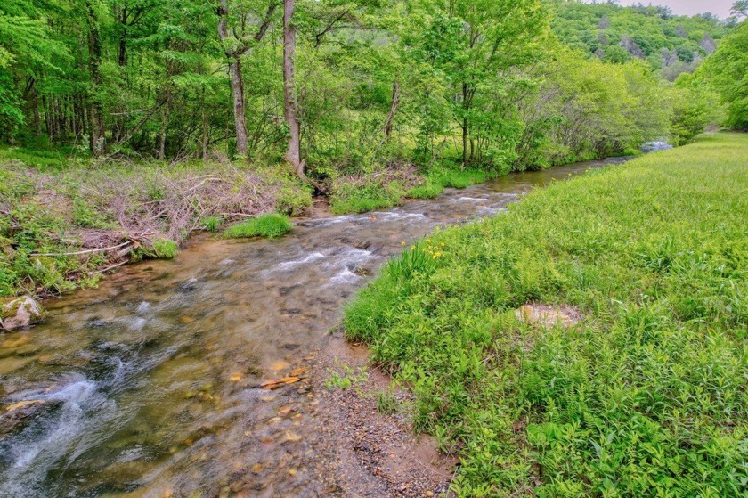 PRICE REDUCED-Breathtaking tract of land with over 39 acres - photo 14