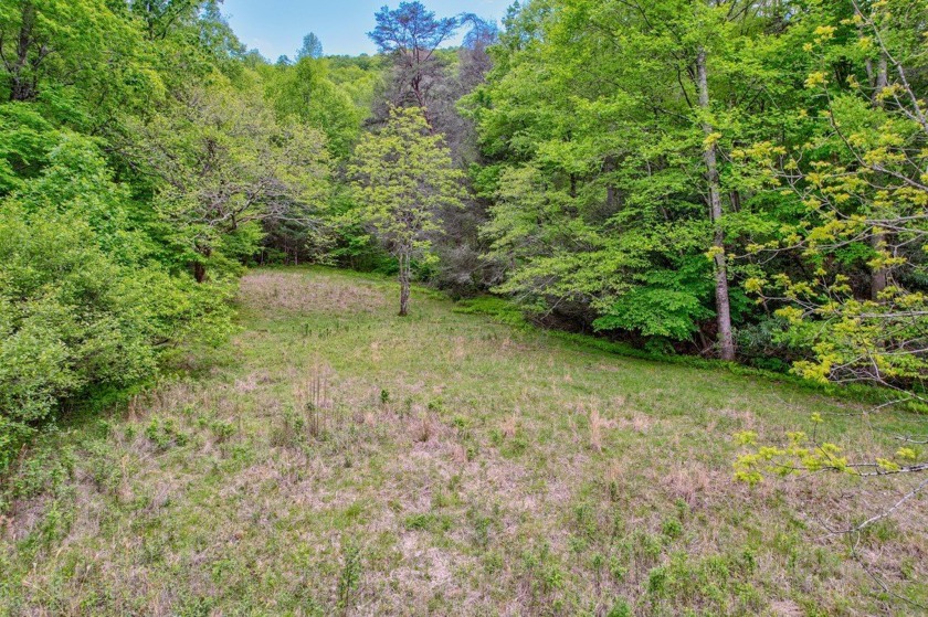 PRICE REDUCED-Breathtaking tract of land with over 39 acres - photo 25