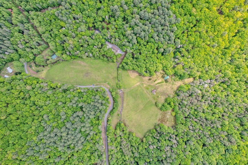 PRICE REDUCED-Breathtaking tract of land with over 39 acres - photo 34
