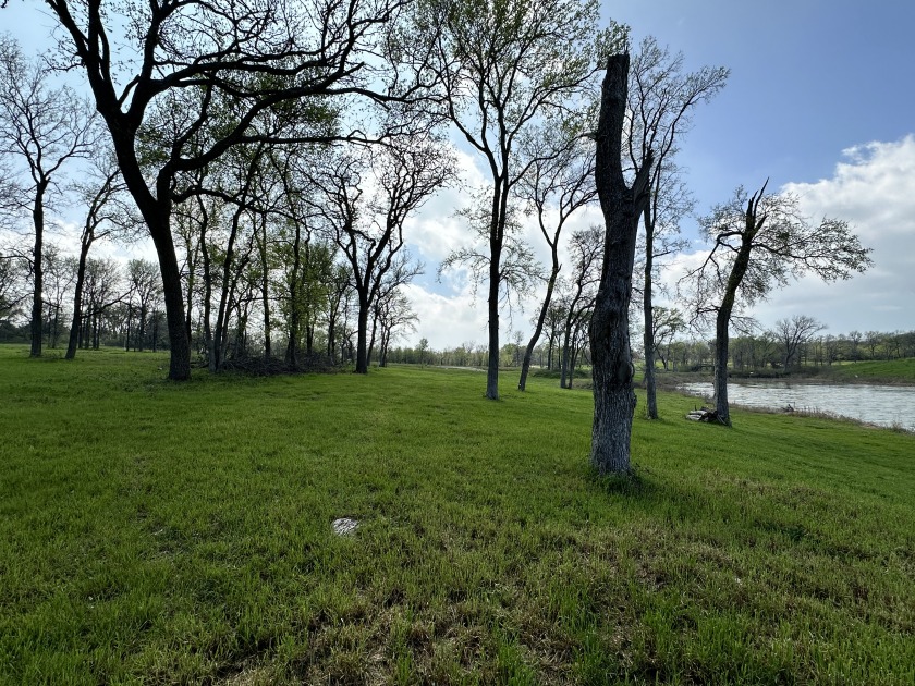 Waterfront Lot w/Boathouse on Richland Chambers Lake! - photo 27