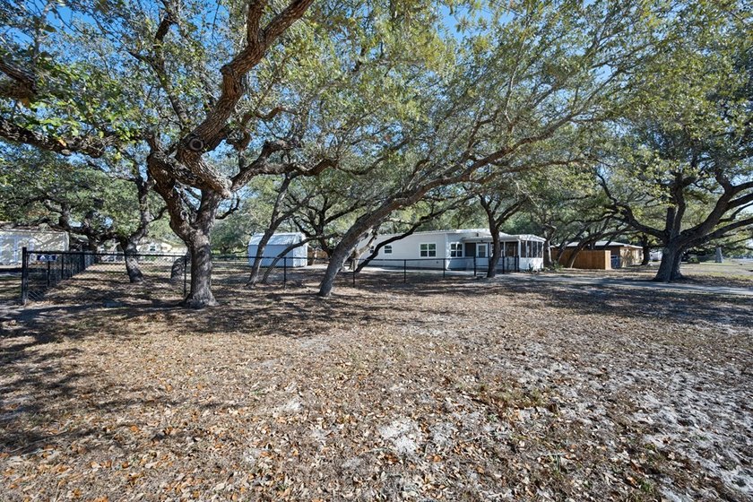 Tucked beneath the shade of towering coastal live oaks, this - photo 3