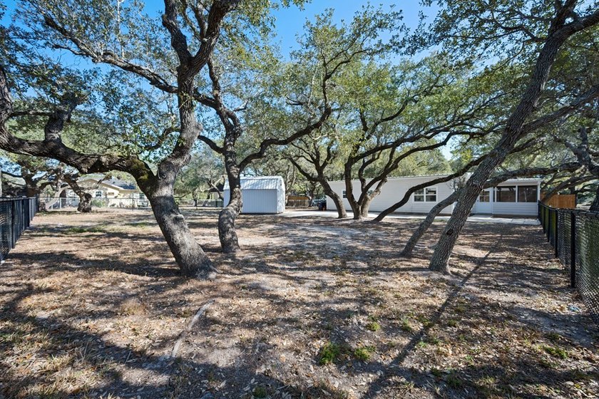 Tucked beneath the shade of towering coastal live oaks, this - photo 5