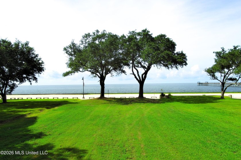 Large - photo 9