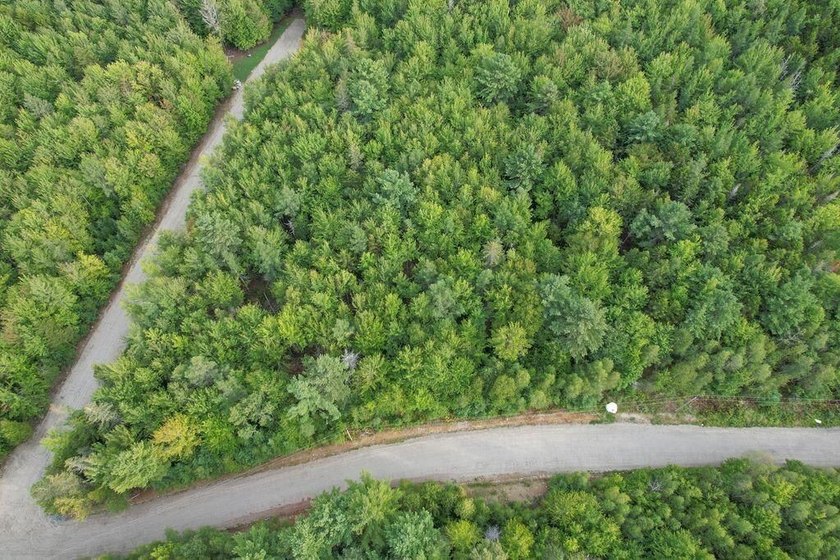 Beautiful Elevated Lot just outside the City of EllsworthThis 4 - photo 4