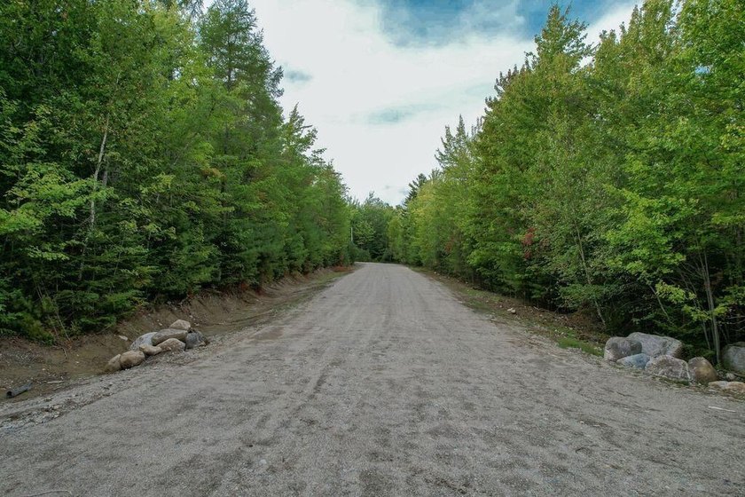 Beautiful Elevated Lot just outside the City of EllsworthThis 4 - photo 10